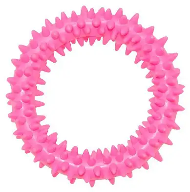 Homepet игрушка для собак кольцо с шипами